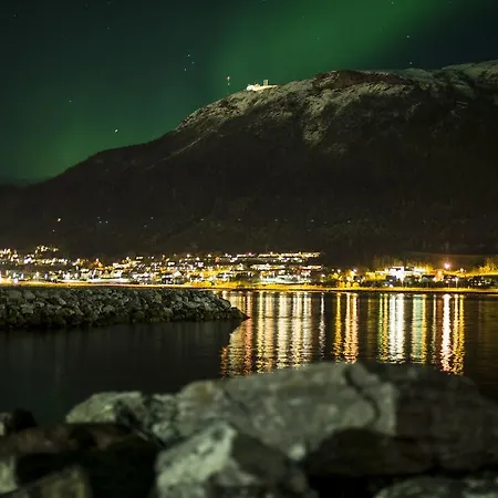 Cozy Aurora